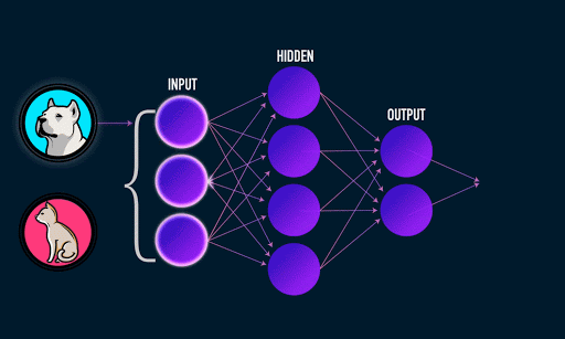 A fully connected network classifier